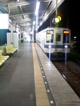 24994.jpg