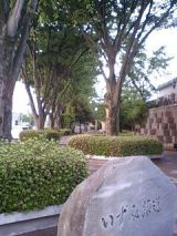 24997-1.jpg