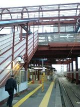 24999-1.jpg
