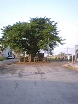 25001-3.jpg