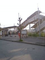 25004-2.jpg