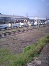 25011.jpg