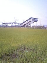 25016-2.jpg