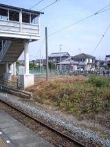 25019-1.jpg