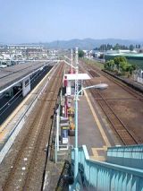 25022-1.jpg