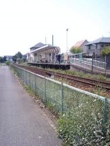 25025-2.jpg