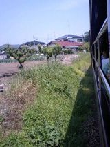 25029-1.jpg