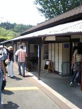 25032-2.jpg