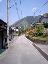 25039-2.jpg