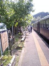 25045.jpg