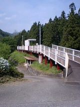 25046-2.jpg