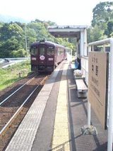 25046.jpg