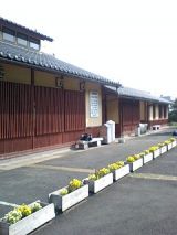 25049-2.jpg