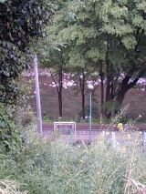 25056-2.jpg