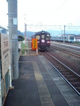 25063.jpg