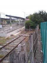 25076-3.jpg