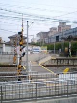 25076-4.jpg