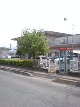 25101-1.jpg