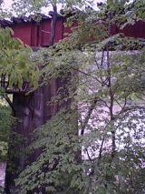 25143-3.jpg