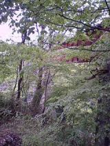 25143-4.jpg