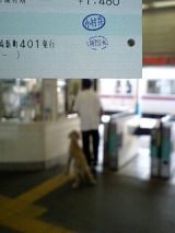 25175-1.jpg