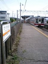 25177.jpg