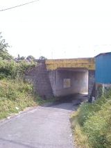 25178.jpg