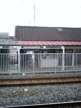 25181-1.jpg