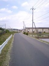 25187-1.jpg