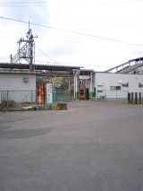 25187.jpg