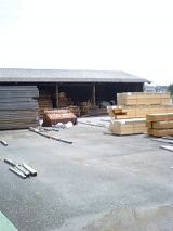 25193-2.jpg