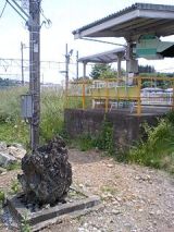 25195-2.jpg