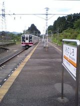 25201.jpg