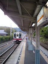 25217.jpg