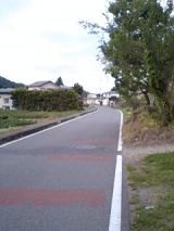 25218-1.jpg