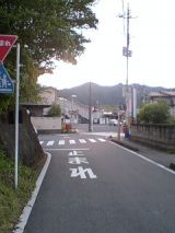 25218-2.jpg