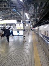 25268.jpg