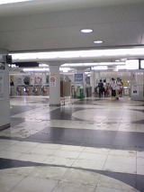 25288-1.jpg