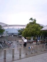 25291-2.jpg