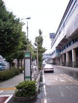 25292-3.jpg
