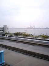25293-3.jpg