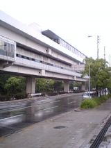 25295-2.jpg