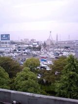 25299-4.jpg