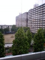 25300-1.jpg