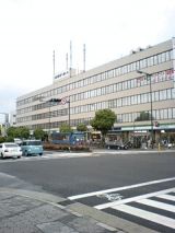 25304-4.jpg