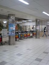 25312-1.jpg