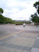 25316-3.jpg
