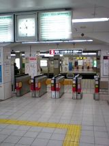 25317-1.jpg