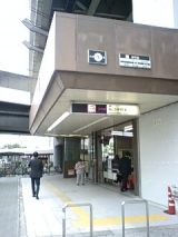25321-1.jpg