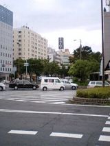 25331-2.jpg